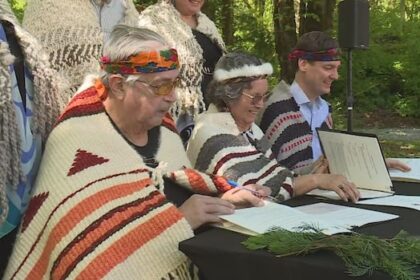 vancouver-island-municipality’s-move-to-consider-logging-upsets-collaboration-efforts,-says-first-nation