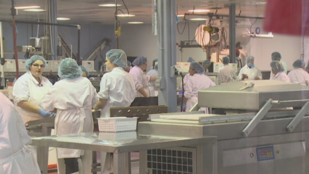 pei.’s-migrant-workers-grappling-with-fewer-hours-or-layoffs-due-to-chinese-seafood-tariffs