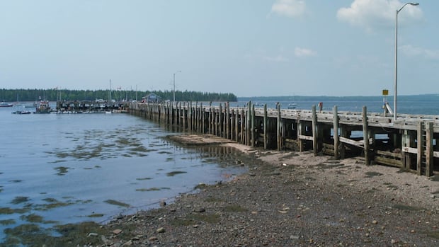 saint-andrews-wharf-renewal-comes-to-halt-after-council-cancels-tender