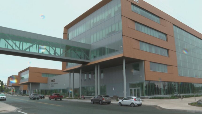 local-businesses-see-benefits-from-sydney-nscc-campus
