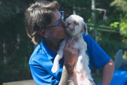 from-emaciated-to-good-health:-the-story-of-1-rescue-dog-and-her-puppies-in-foster-care
