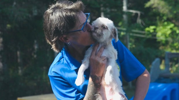 from-emaciated-to-good-health:-the-story-of-1-rescue-dog-and-her-puppies-in-foster-care