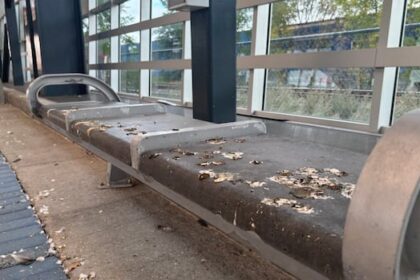 pigeon-poop-brings-no-luck-for-winnipeg-bus-riders-sick-of-birds-roosting-at-osborne-station