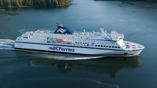 humpback-whale-found-dead-after-possible-collision-with-bc.-ferries-vessel