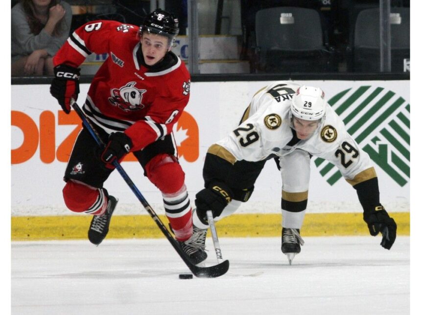 cape-breton-eagles-add-19-year-old-brauti-from-ontario-hockey-league