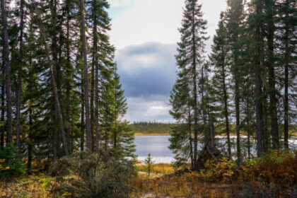 ‘our-water-should-never-be-that-dirty’:-the-water-crisis-in-first-nations-is-about-staffing-too