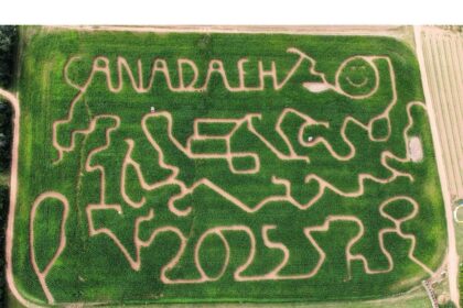 getting-lost-in-the-corn:-why-atlantic-canadians-flock-to-corn-mazes-every-fall