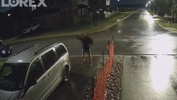 2-plead-guilty-after-making-anti-asian-remarks,-egging-barrhaven-house