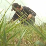dry-weather-means-pei.s-hay-harvesters-are-struggling