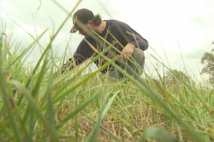 dry-weather-means-pei.s-hay-harvesters-are-struggling