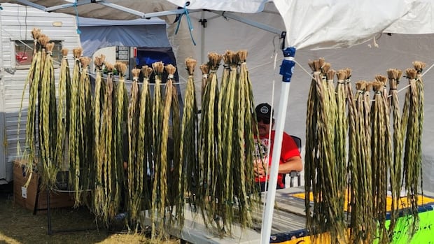 this-first-nation-helps-keep-tradition-of-sweetgrass-harvest-alivein-treaty-4