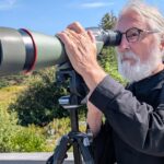 why-one-of-canada’s-top-birders-keeps-coming-back-to-prince-edward-island