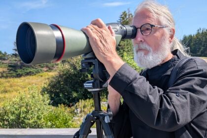 why-one-of-canada’s-top-birders-keeps-coming-back-to-prince-edward-island
