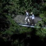 lynn-canyon-suspension-bridge-to-be-closed-for-2-months-in-district-of-north-vancouver