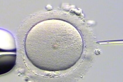 halifax-clinic-offers-fertility-preservation-to-young-cancer-patients
