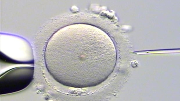 halifax-clinic-offers-fertility-preservation-to-young-cancer-patients