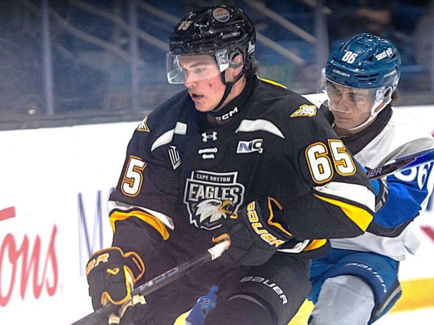 qmjhl:-cape-breton-eagles-split-regular-season-starts-against-saint-john-sea-dogs
