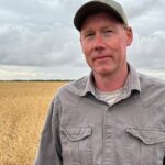 canola-farmers-feel-the-pinch-as-tariffs-threaten-profits