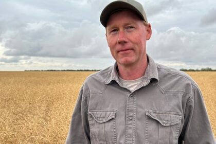 canola-farmers-feel-the-pinch-as-tariffs-threaten-profits