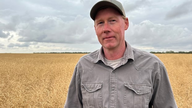canola-farmers-feel-the-pinch-as-tariffs-threaten-profits