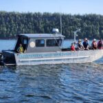 with-local-orcas-in-desperate-condition,-snuneywuxw-is-monitoring-ships-noises