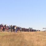 ‘we’ve-all-been-touched-by-cancer’:-thousands-cross-confederation-bridge-on-foot-for-first-nb-pei.-terry-fox-run-in-a-decade