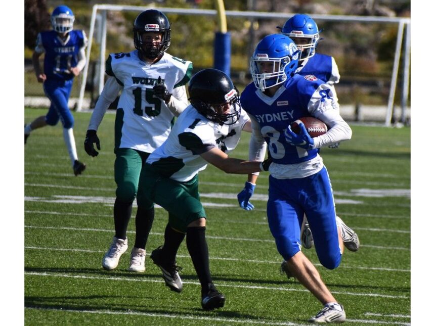 high-school-football:-sydney-academy-wildcats-post-convincing-victory-over-west-bedford-wolves-at-home