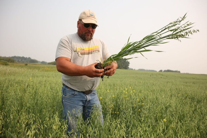 meet-the-saskatchewan-farmers-trying-to-do-things-better