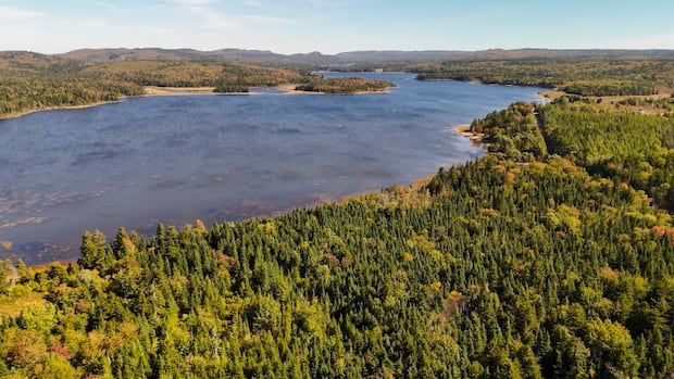 saint-john-residents-asked-to-conserve-water-with-lakes-at-a-low-level