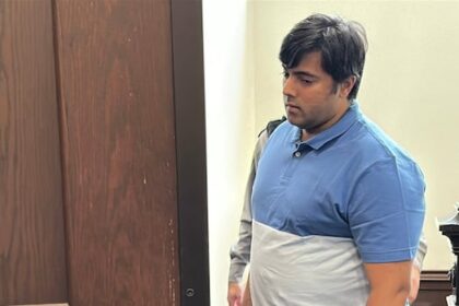 man-who-struck-halifax-university-student-in-fatal-hit-and-run-sentenced-to-4-years