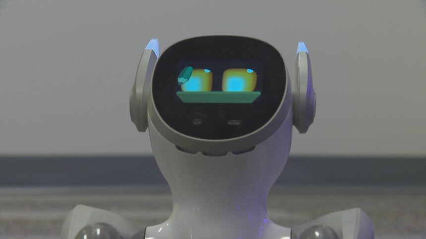 saint-mary’s-university-opens-ai-playground