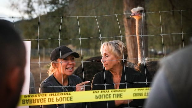 2-people-arrested,-released-at-bc.-ostrich-farm-facing-cull-over-avian-flu