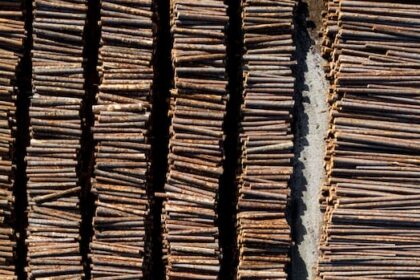changes-to-bc.-timber-sales-as-province’s-forest-industry-faces-pressure:-minister