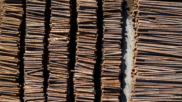 changes-to-bc.-timber-sales-as-province’s-forest-industry-faces-pressure:-minister