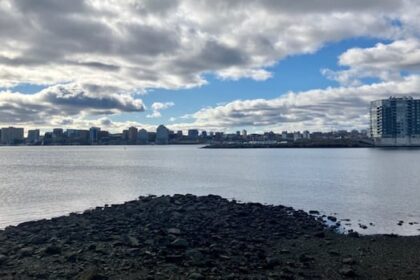 halifax-closer-to-regulating-dartmouth-cove-infilling