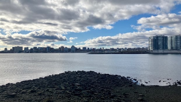 halifax-closer-to-regulating-dartmouth-cove-infilling