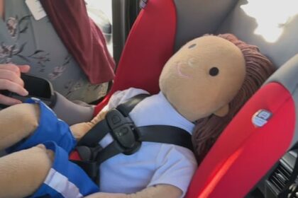 high-percentage-of-children’s-car-seats-being-used-incorrectly-in-nova-scotia:-iwk