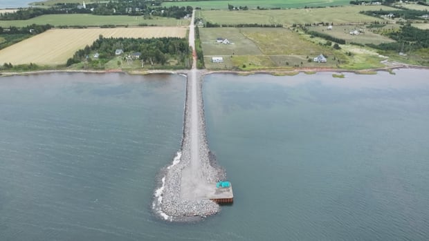 new-mussel-landing-site-opening-amidst-ongoing-concerns-around-malpeque-channel