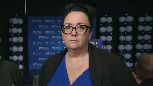 manitoba-pc-campaign-chair-met-with-province-about-project-that-paid-her-company-$2.8m