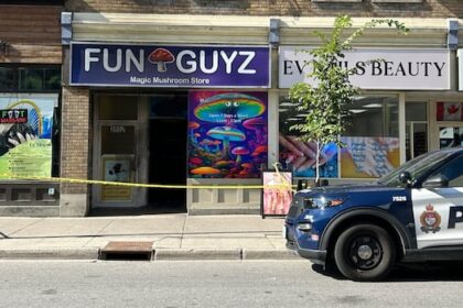 arson-unit-investigating-after-another-magic-mushroom-shop-burns-in-ottawa