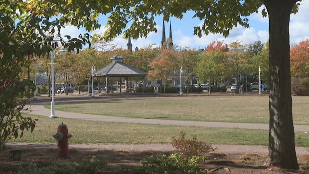 charlottetown-gives-green-light-to-monument,-but-some-councillors-call-for-new-policy
