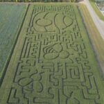 new-owners-crafting-corn-maze-near-saskatoon