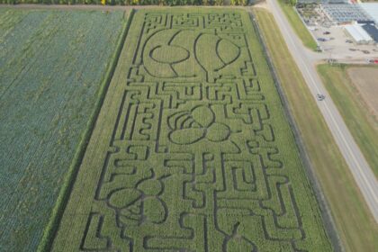 new-owners-crafting-corn-maze-near-saskatoon
