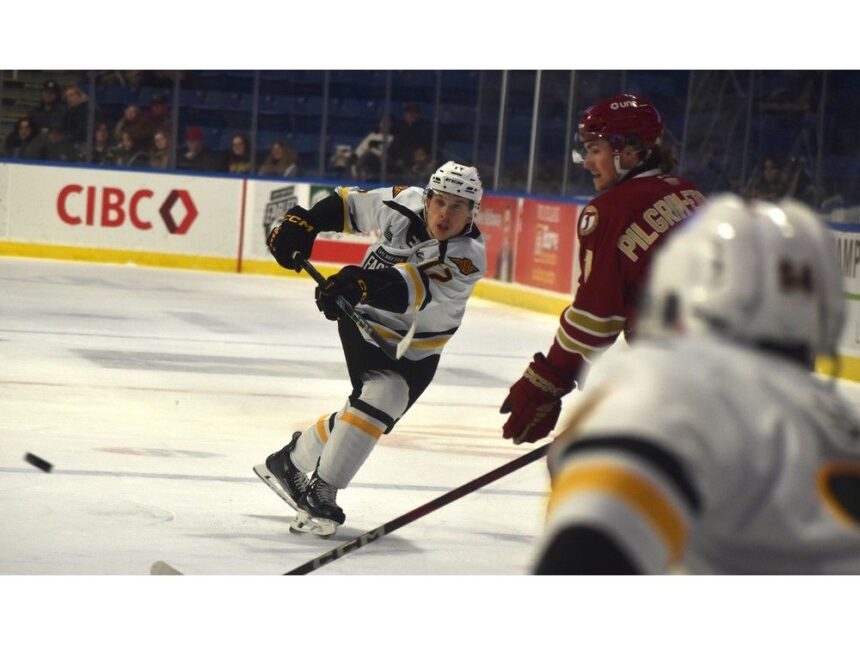 qmjhl:-cape-breton-eagles-get-tomas-lavoie-back,-trade-overager-daigle-to-sagueneens