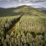 us.-funding-cuts-threaten-wildlife-on-both-sides-of-the-canadian-border