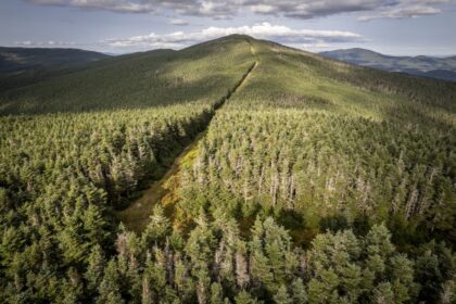 us.-funding-cuts-threaten-wildlife-on-both-sides-of-the-canadian-border