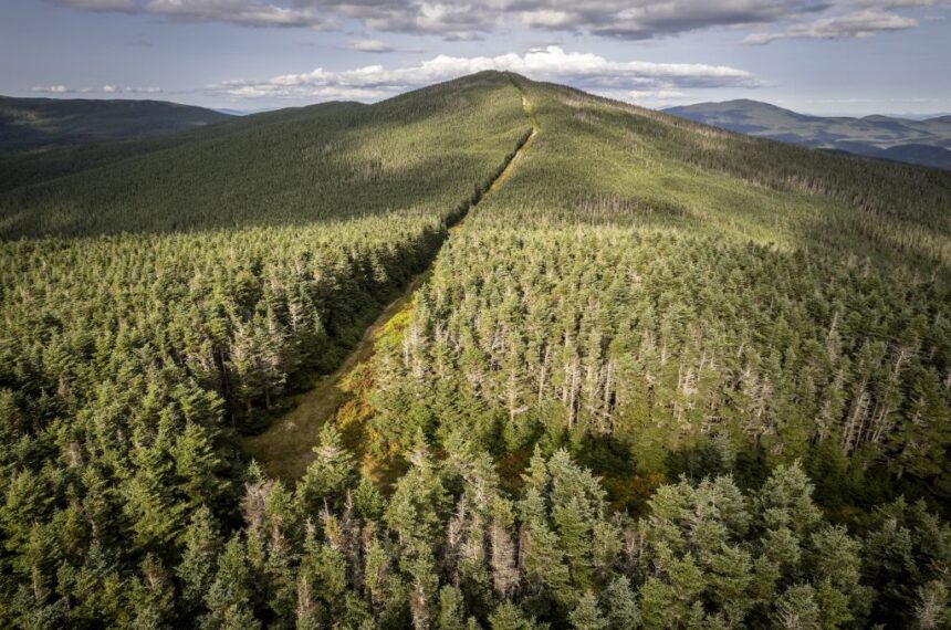us.-funding-cuts-threaten-wildlife-on-both-sides-of-the-canadian-border