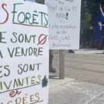 legault-government-scraps-forestry-reform-bill-that-drew-widespread-ire
