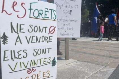 legault-government-scraps-forestry-reform-bill-that-drew-widespread-ire