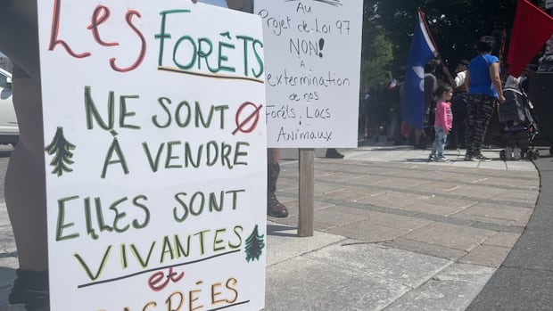 legault-government-scraps-forestry-reform-bill-that-drew-widespread-ire